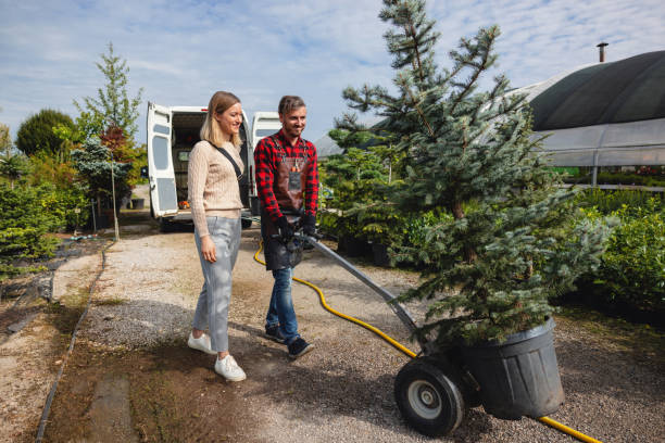 Best Tree Branch Trimming  in Bessemer, AL